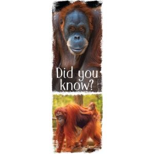 Animal Fun Facts Set Bookmarks,Animal Fun Facts Bookmarks,Animal Fun Facts,animal fun facts for kids,animal fun facts funny,animal fun facts weird,animal fun facts trivia,Animal bookmarks,animal bookmarks template,Demco,Demco Canada,Gaylord,Gaylord Canada,Canadian Museum Library Supply,Canadian Library Supply,Library Supplies,Library Supplies in Canada,Carr Maclean,Brodart,The Library Store,Amazon,Metis business in Alberta,Metis business in Canada,Metis business,women owned business,library supplies in western Canada,library supplies in Alberta,library supply company,library supply vendors,library suppliers,library supplies Canada,library supplies for schools,store library,Calgary library store,library supplies catalogue,demco library supplies,library store,demco office supplies,gaylord museum products,museum store Canada,Wayfair,orangutan,orangutan bookmarks,hedgehog,hedgehog bookmarks,sloth,sloth bookmarks,owl,owl bookmarks,flamingo,flamingo bookmarks,llama,llama bookmark,Staples,UpStart,Museum supplies in Alberta,Gaylord Archival