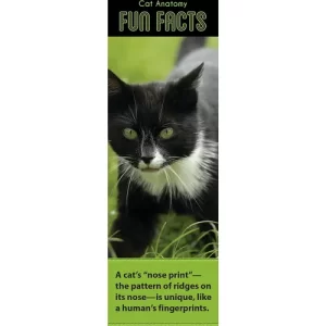 demco® upstart® fun facts cats bookmarks